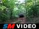 Dawson Forrest 005.avi